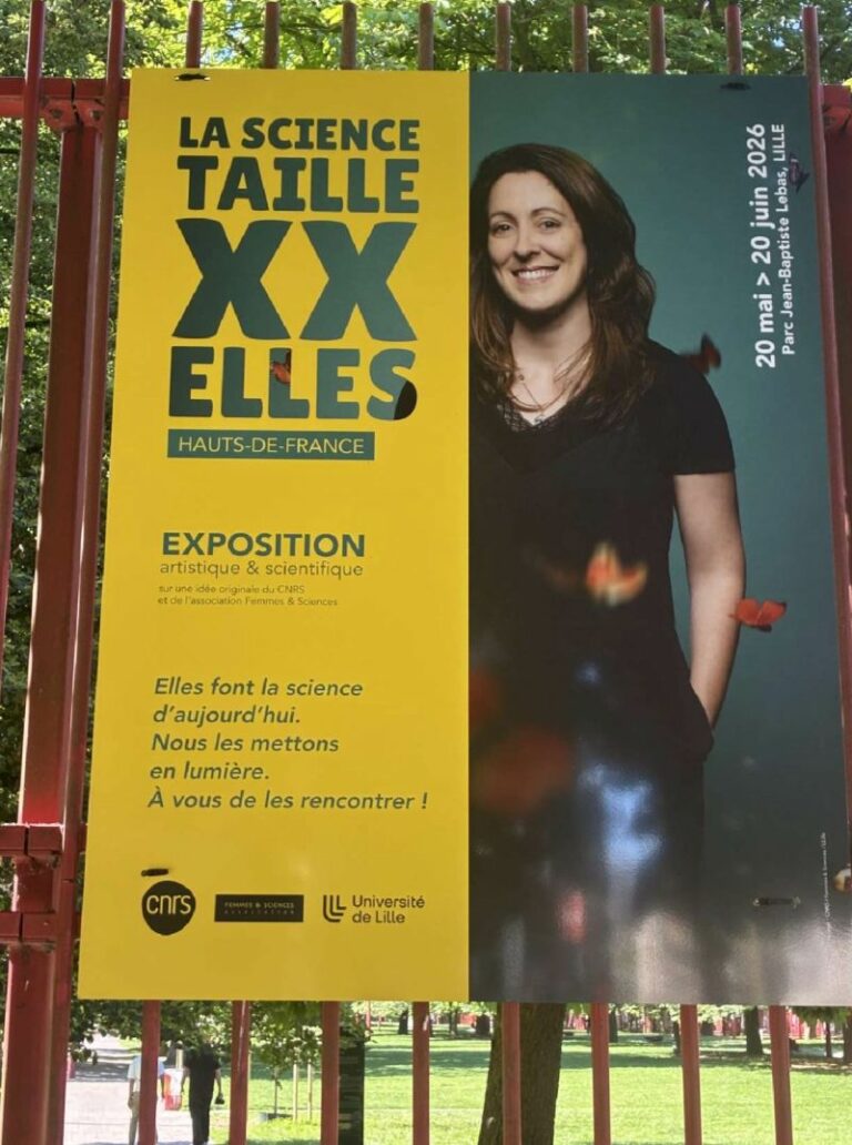 Taille XX Elles